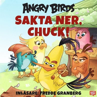 Sakta ner, Chuck! (e-bok)
