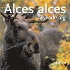 Alces alces : älskade älg (häftad)