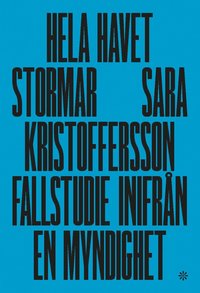Hela havet stormar : fallstudie inifrn en myndighet (hftad)
