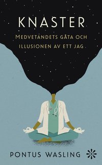 Knaster : medvetandets gta och illusionen av ett jag (pocket)