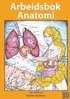 Arbeidsbok Anatomi : for studenter som studerer sykepleie, helsefag eller i