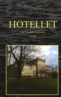 Hotellet: Mordet på en stallpojke; Strandhotellet blir ett konsulat. (e-bok)