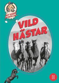 Det visste du inte om vildhstar (kartonnage)