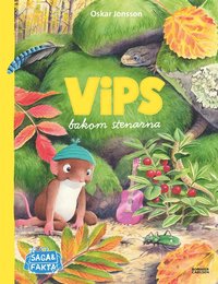 Vips bakom stenarna som bok, ljudbok eller e-bok.