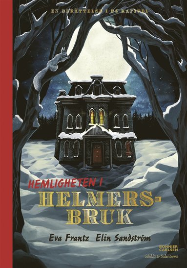 Hemligheten i Helmersbruk (e-bok)
