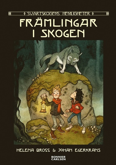 Främlingar I Skogen - Helena Bross - Bok (9789179774493) | Bokus