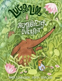 Omslag: Hemligheter överallt