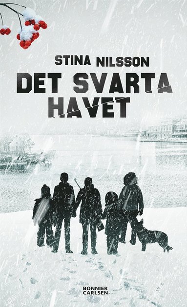 Det svarta havet (hftad)