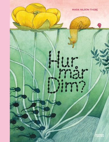 Hur m�r Dim? (inbunden)