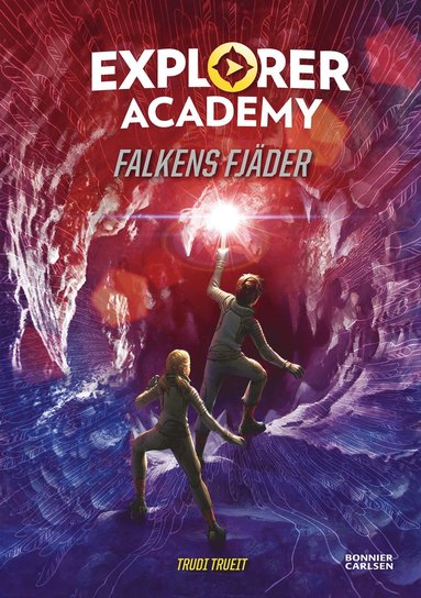 Falkens fjder (inbunden)
