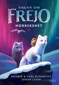 Omslag för Norrskenet