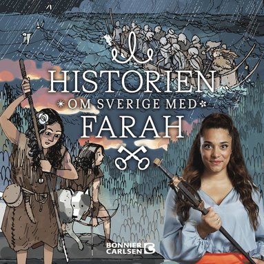 Stenlder, metall och vikingar (e-bok)