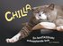 Chilla : en fanTASStiskt avkopplande bok