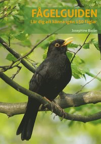 Fågelguiden: lär dig känna igen 150 fåglar som bok, ljudbok eller e-bok.