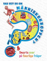 Vad vet du om mnniskokroppen? : smarta svar p finurliga frgor (inbunden)