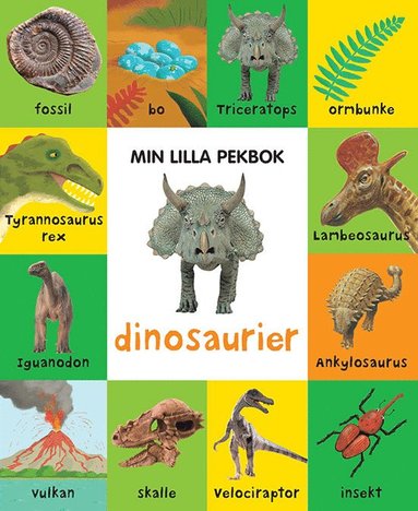 Min lilla pekbok : dinosaurier (kartonnage)