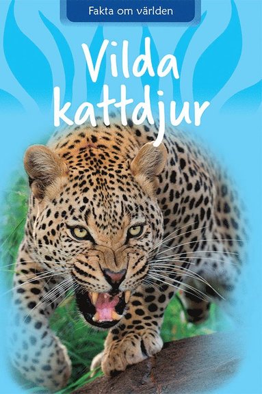 Vilda kattdjur (pocket)