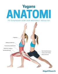 Yogans anatomi : 75 övningar som ger maximalt resultat (häftad)