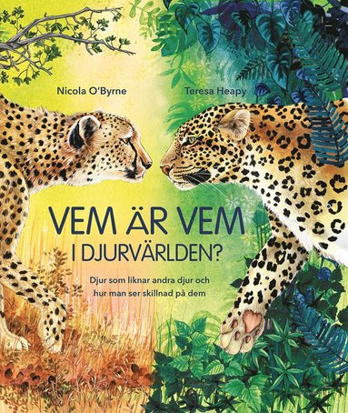 Vem r vem i djurvrlden? (inbunden)