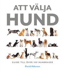 Att vlja hund : guide till ver 100 hundraser (inbunden)
