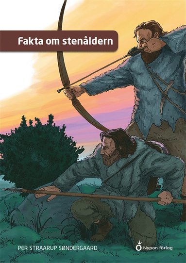 Fakta om stenldern (kartonnage)