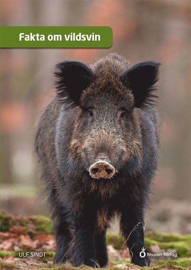 Fakta om vildsvin (ljudbok)