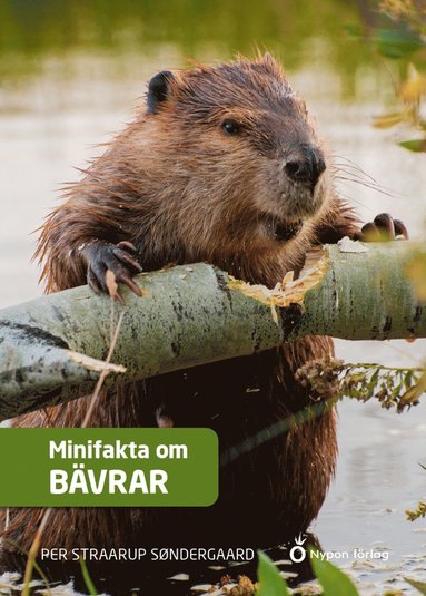 Minifakta om bvrar (inbunden)