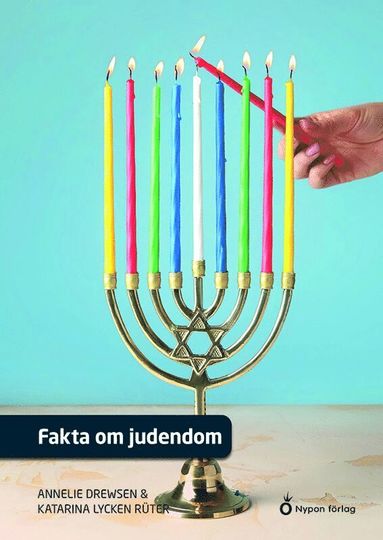 Fakta om judendom (hftad)