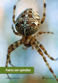 Omslag: Fakta om spindlar