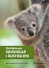 Minifakta om djurungar i Australien