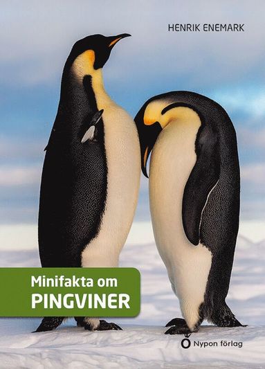 Minifakta om pingviner (inbunden)