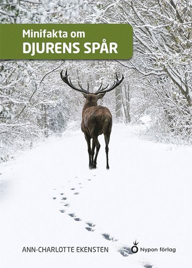 Minifakta om djurens spr (inbunden)