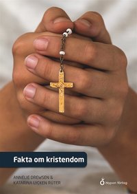 Fakta om kristendom (e-bok)