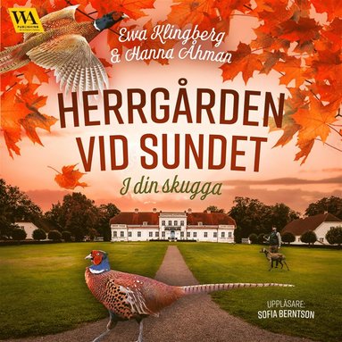 I din skugga (ljudbok)