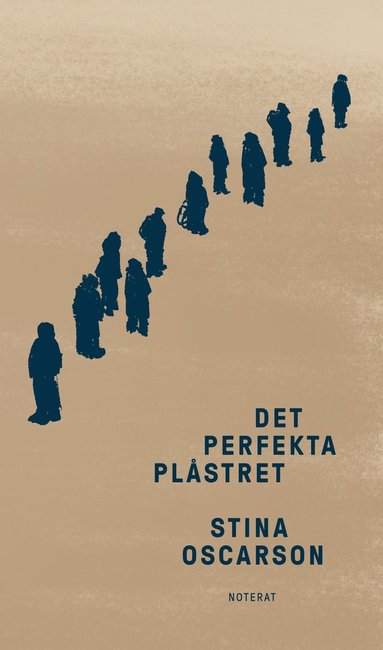 Det perfekta plstret (inbunden)