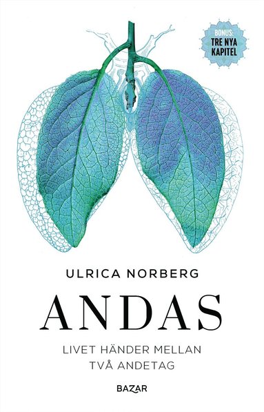 Andas : livet händer mellan två andetag (inbunden)