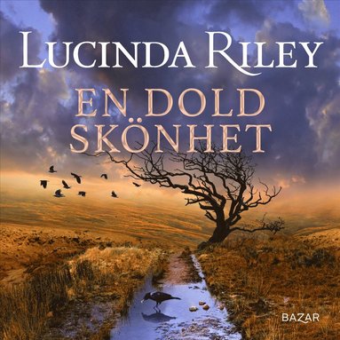En dold sknhet (ljudbok)