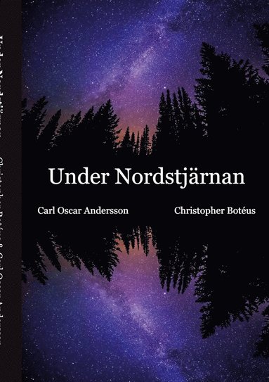 Under Nordstjrnan (e-bok)