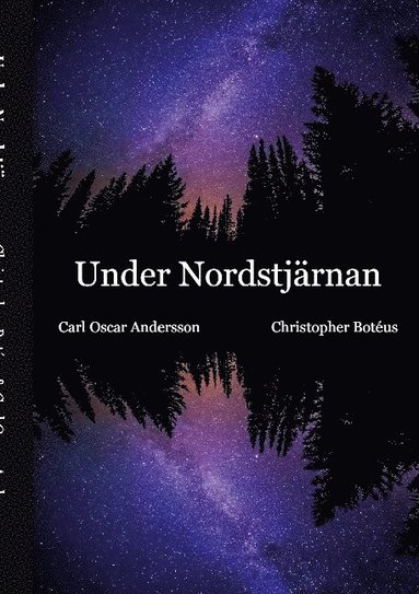 Under Nordstjrnan (hftad)