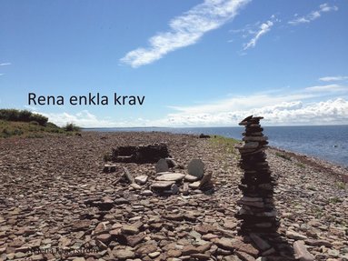 Rena enkla krav: En snabbguide om kravanalys och kravhantering (inbunden)