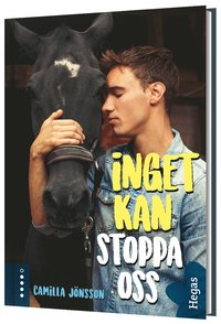 Inget kan stoppa oss (inbunden)