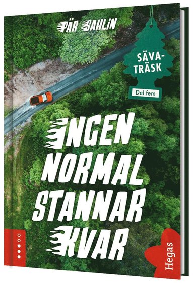 Ingen normal stannar kvar (kartonnage)