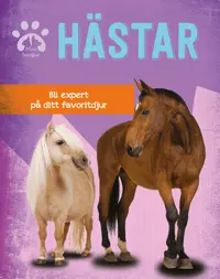 Omslag: Hästar : bli expert på ditt favoritdjur