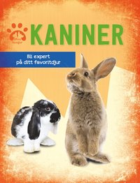 Kaniner : bli expert p ditt favoritdjur (inbunden)