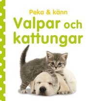 Omslag: Peka & känn. Valpar och kattungar