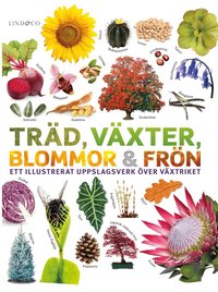 Omslag: Träd, växter, blommor och frön : ett illustrerat uppslagsverk över växtriket
