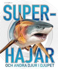 Omslag: Superhajar : och andra djur i djupet