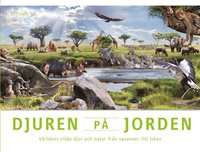 Djuren på jorden : världens vilda djur och natur från savanner till ishav som bok, ljudbok eller e-bok.