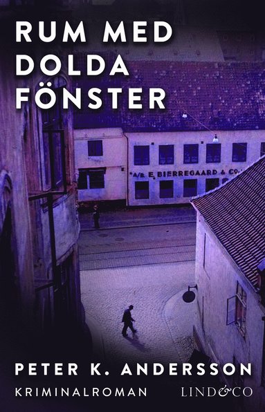 Rum med dolda fnster (ljudbok)