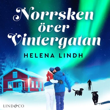 Norrsken ver Vintergatan  (ljudbok)